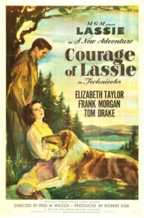 دانلود فیلم Courage of Lassie 1946417427-2578637