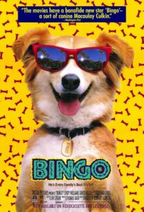 دانلود فیلم Bingo 1991417459-554726889