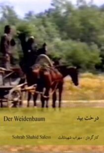 دانلود فیلم The Willow Tree 1984418953-2058476745