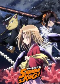 دانلود انیمه Shaman King422246-378119675