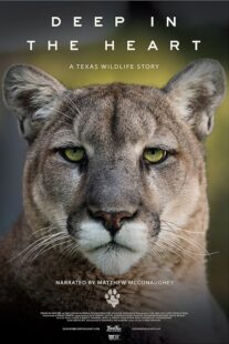دانلود مستند Deep in the Heart: A Texas Wildlife Story 2022421545-396979819