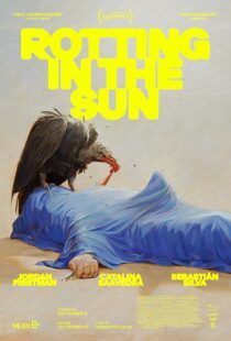 دانلود فیلم Rotting in the Sun 2023418816-1181752192