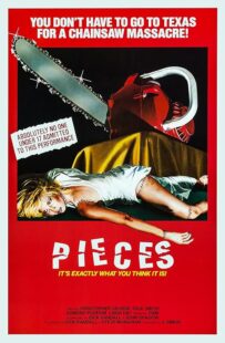 دانلود فیلم Pieces 1982422164-1833639481