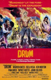 دانلود فیلم Drum 1976423508-1894922844