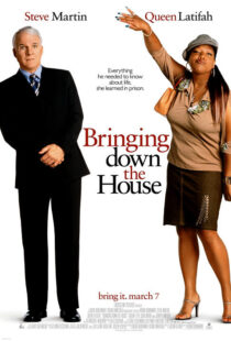 دانلود فیلم Bringing Down the House 2003424024-2086398940