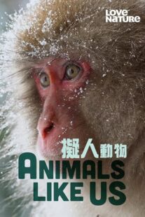 دانلود مستند Animals Like Us423066-1760955615