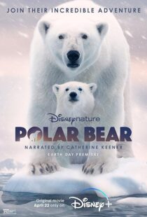 دانلود مستند Polar Bear 2022422974-601770326