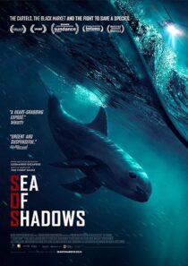 دانلود فیلم Sea of Shadows 2019427147-352789350