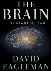 دانلود سریال The Brain with Dr. David Eagleman428613-1622155088