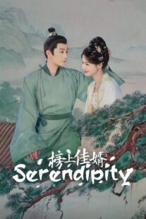 دانلود سریال Serendipity432481-2001499067