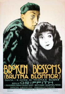 دانلود فیلم Broken Blossoms 1919431950-2040713141