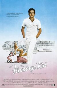دانلود فیلم The Flamingo Kid 1984431253-2076913348