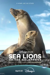 دانلود مستند Sea Lions of the Galapagos 2025431056-1562845060