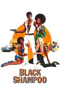 دانلود فیلم Black Shampoo 1976435042-1161113178