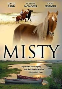 دانلود فیلم Misty 1961436665-839681083
